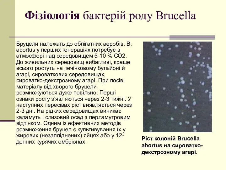 Фізіологія бактерій роду Brucella Бруцели належать до облігатних аеробів. B.