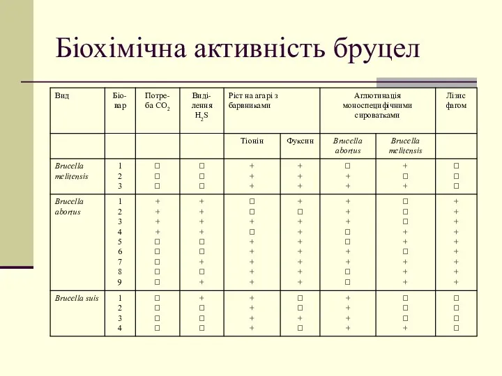 Біохімічна активність бруцел