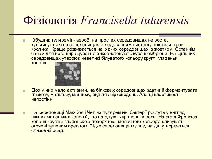 Фізіологія Francisella tularensis Збудник туляремії - аероб, на простих середовищах