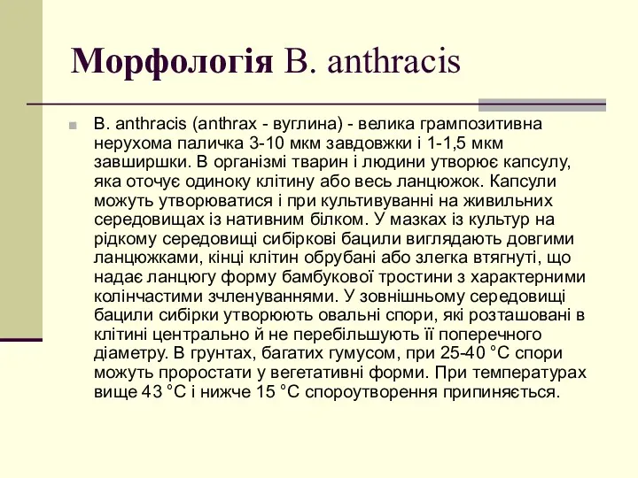 Морфологія B. anthracis B. anthracis (anthrax - вуглина) - велика