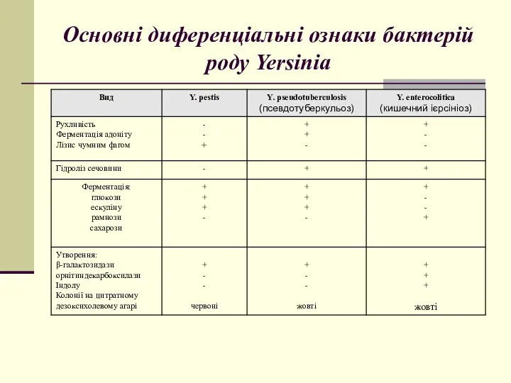 Основні диференціальні ознаки бактерій роду Yersinia