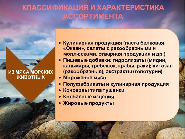 КЛАССИФИКАЦИЯ И ХАРАКТЕРИСТИКА АССОРТИМЕНТА