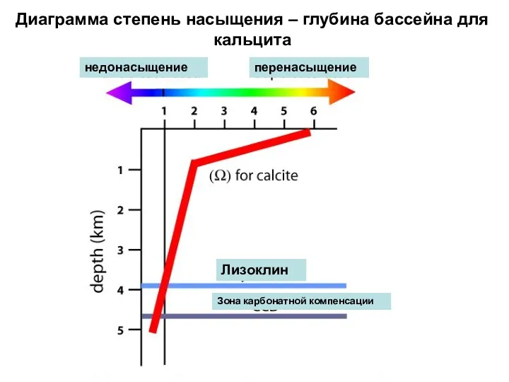 Диаграмма степень насыщения – глубина бассейна для кальцита Лизоклин Зона карбонатной компенсации перенасыщение недонасыщение