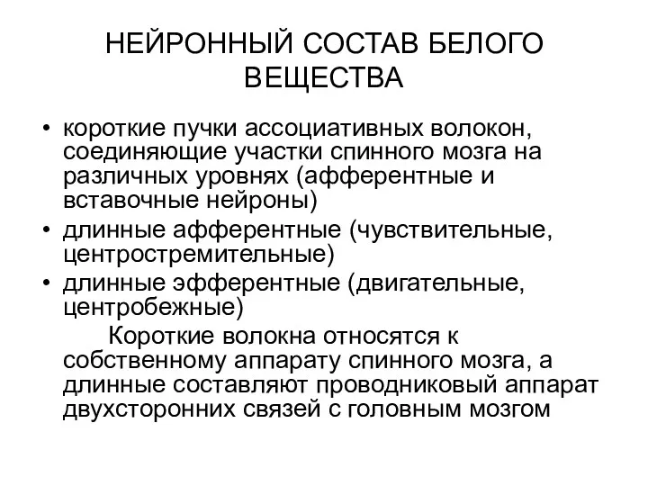 НЕЙРОННЫЙ СОСТАВ БЕЛОГО ВЕЩЕСТВА короткие пучки ассоциативных волокон, соединяющие участки