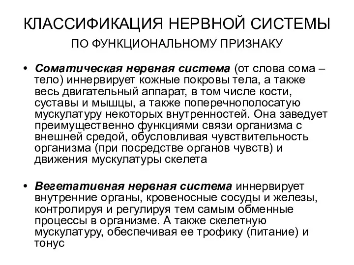 КЛАССИФИКАЦИЯ НЕРВНОЙ СИСТЕМЫ ПО ФУНКЦИОНАЛЬНОМУ ПРИЗНАКУ Соматическая нервная система (от