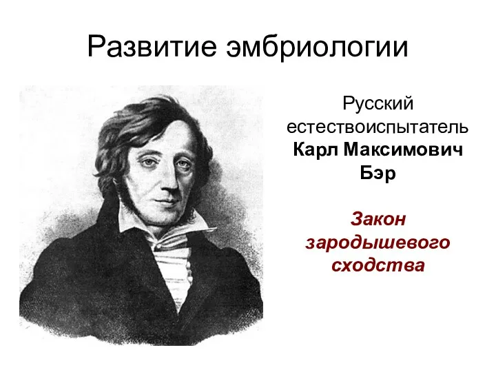 Развитие эмбриологии Русский естествоиспытатель Карл Максимович Бэр Закон зародышевого сходства