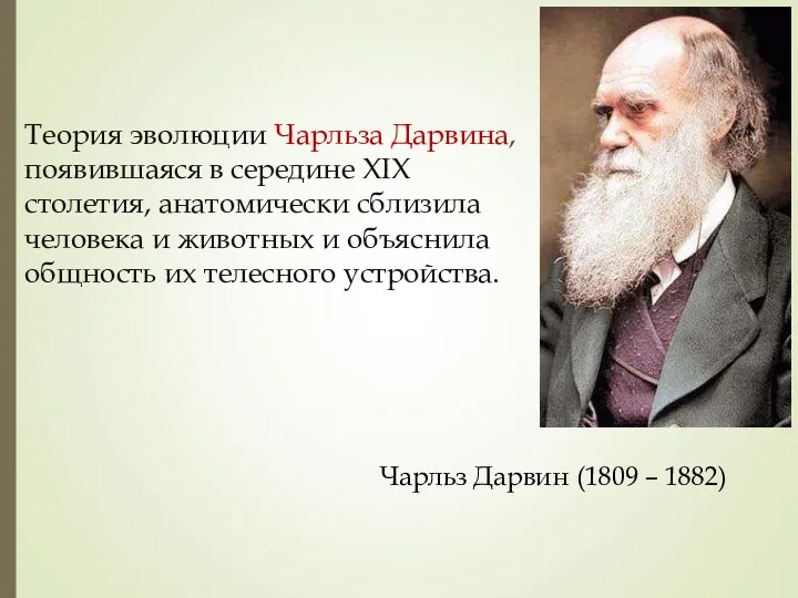 Теория эволюции Чарльза Дарвина, появившаяся в середине XIX столетия, анатомически