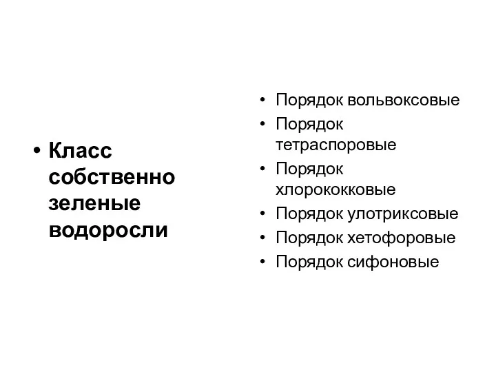 Класс собственно зеленые водоросли Порядок вольвоксовые Порядок тетраспоровые Порядок хлорококковые Порядок улотриксовые Порядок хетофоровые Порядок сифоновые