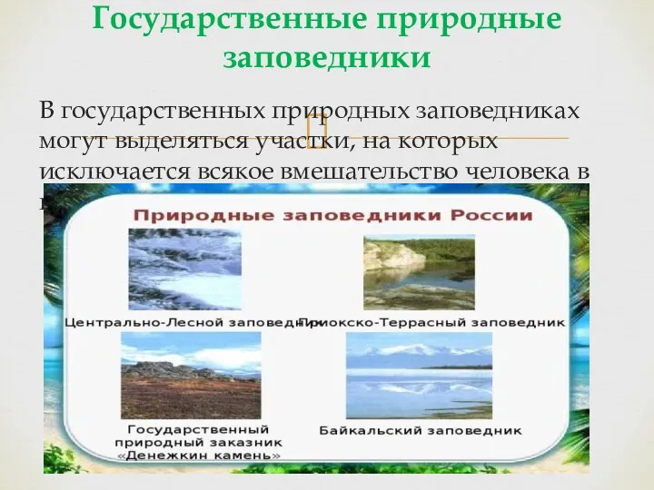 В государственных природных заповедниках могут выделяться участки, на которых исключается всякое вмешательство человека