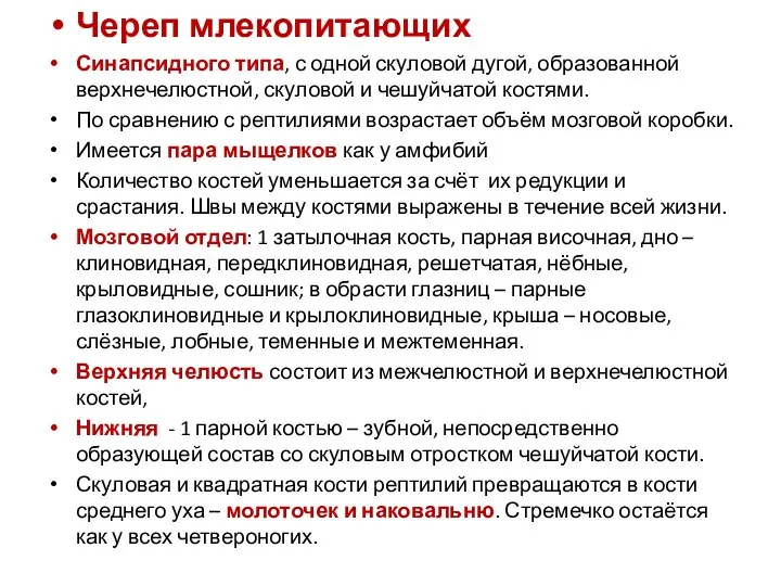 Череп млекопитающих Синапсидного типа, с одной скуловой дугой, образованной верхнечелюстной,