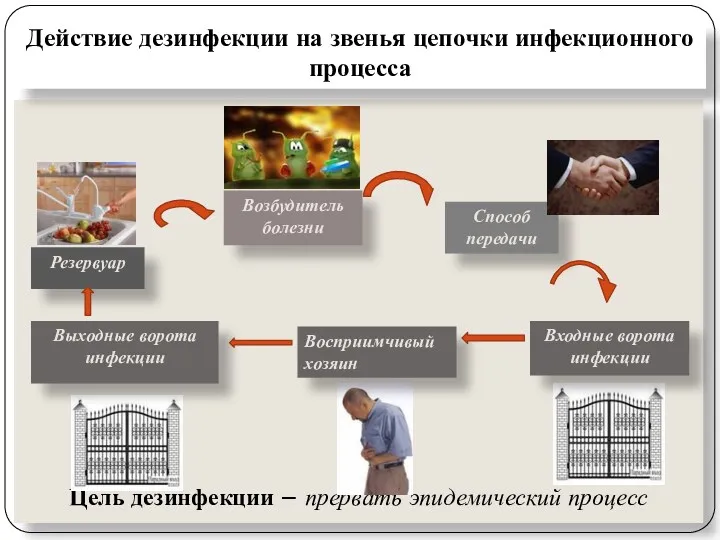 Цель дезинфекции – прервать эпидемический процесс Действие дезинфекции на звенья цепочки инфекционного процесса