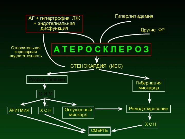 Гиперлипидемия АГ + гипертрофия ЛЖ + эндотелиальная дисфункция А Т