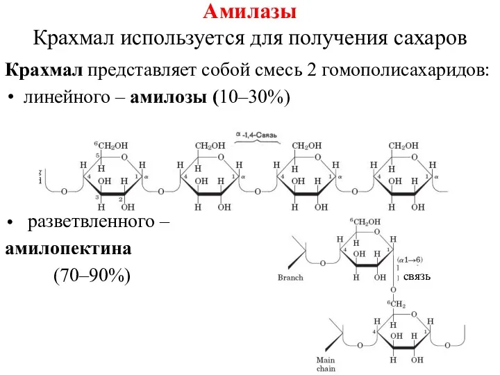 Амилазы Крахмал используется для получения сахаров Крахмал представляет собой смесь