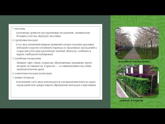 3) массивы (сплошные древесно-кустарниковые насаждения, занимающие большие участки, образуют массивы)