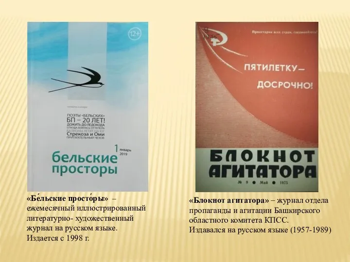 «Бе́льские просто́ры» – ежемесячный иллюстрированный литературно- художественный журнал на русском