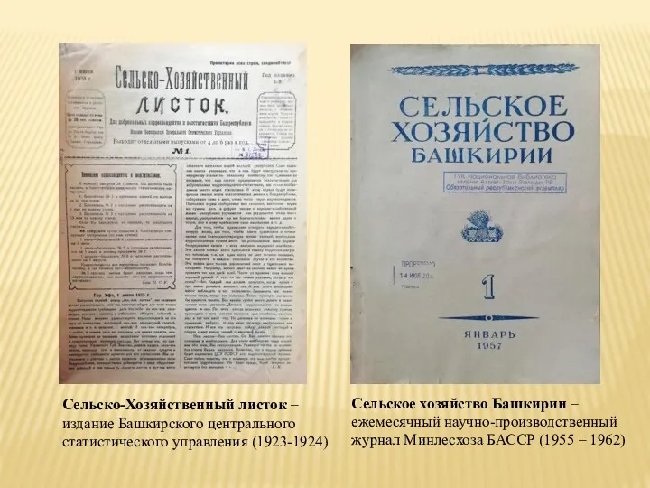 Сельское хозяйство Башкирии – ежемесячный научно-производственный журнал Минлесхоза БАССР (1955