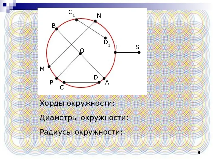 Хорды окружности: Диаметры окружности: Радиусы окружности: С1 N D1 M