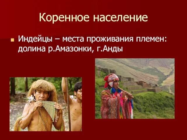 Коренное население Индейцы – места проживания племен: долина р.Амазонки, г.Анды