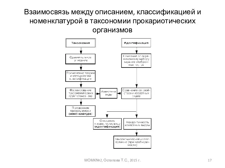 Взаимосвязь между описанием, классификацией и номенклатурой в таксономии прокариотических организмов МОМК№2, Остапова Т.С., 2015 г.