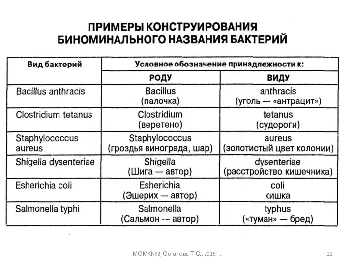 МОМК№2, Остапова Т.С., 2015 г.