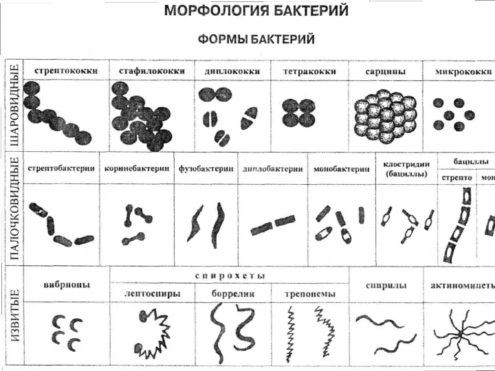 МОМК№2, Остапова Т.С., 2015 г.