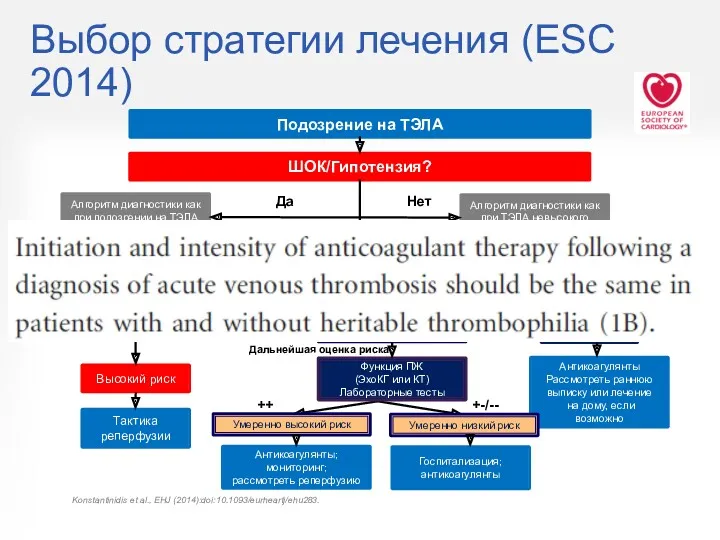 Выбор стратегии лечения (ESC 2014) Подозрение на ТЭЛА ШОК/Гипотензия? Алгоритм