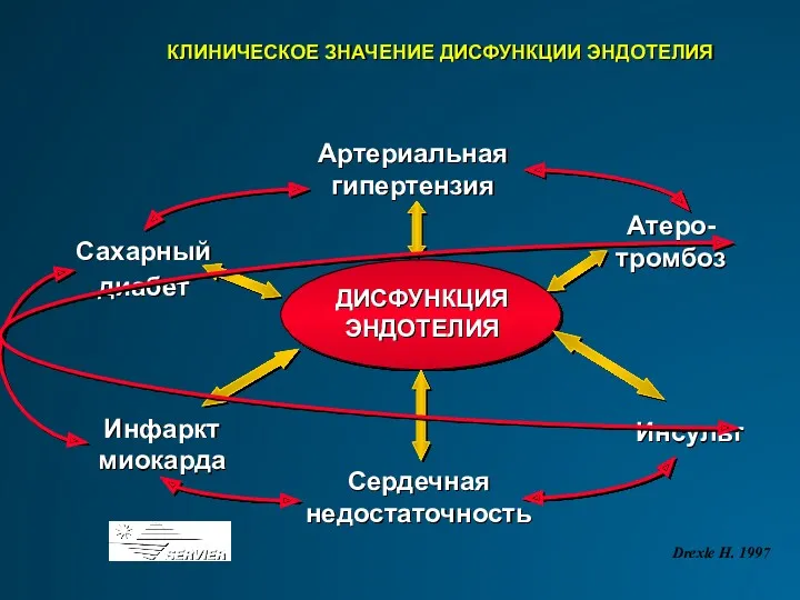 КЛИНИЧЕСКОЕ ЗНАЧЕНИЕ ДИСФУНКЦИИ ЭНДОТЕЛИЯ Drexle H. 1997