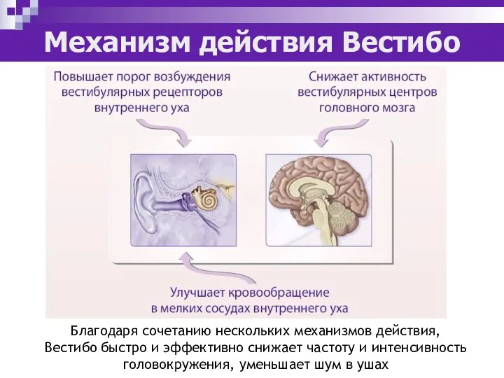 Механизм действия Вестибо Благодаря сочетанию нескольких механизмов действия, Вестибо быстро