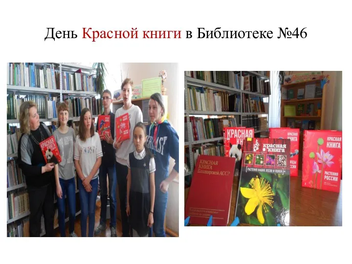 День Красной книги в Библиотеке №46