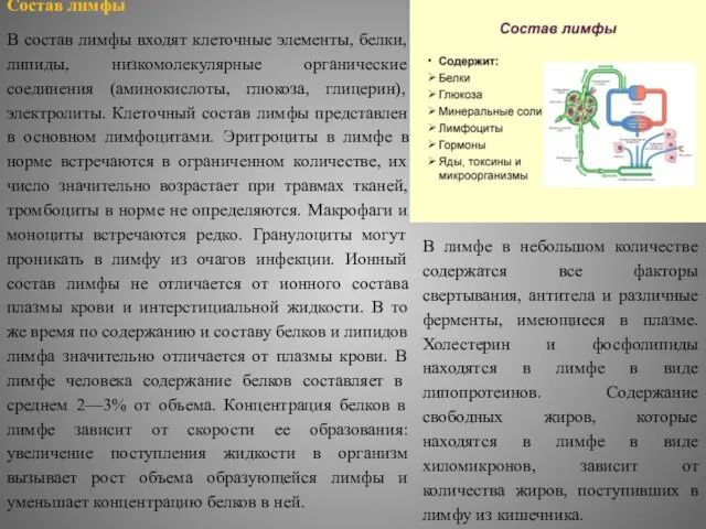 Состав лимфы В состав лимфы входят клеточные элементы, белки, липиды,