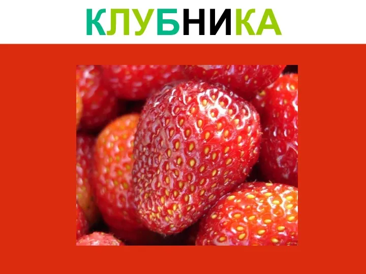 КЛУБНИКА