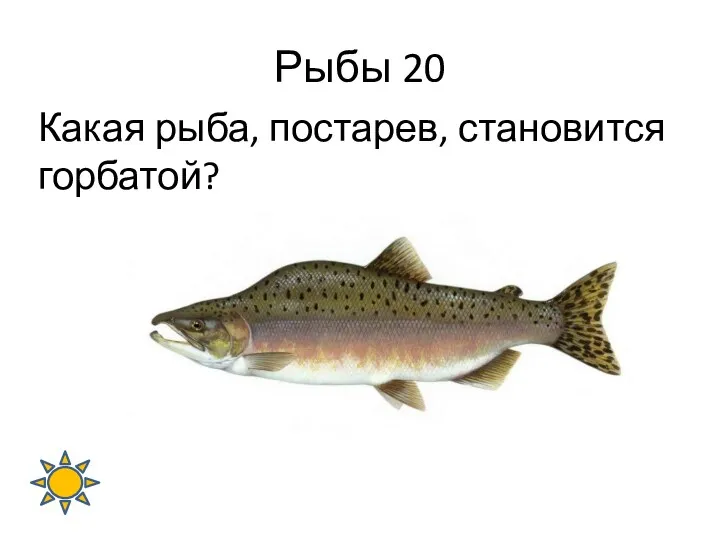 Рыбы 20 Какая рыба, постарев, становится горбатой?