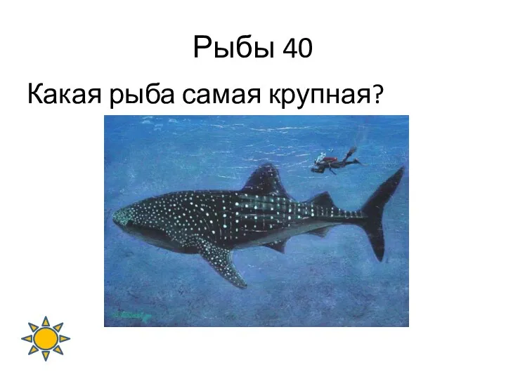 Рыбы 40 Какая рыба самая крупная?