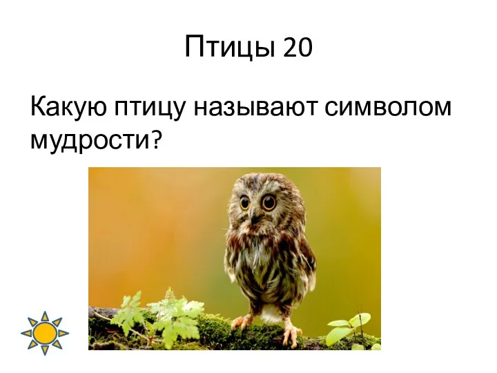 Какую птицу называют символом мудрости? Птицы 20