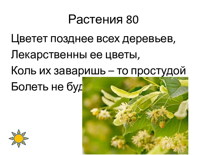 Растения 80 Цветет позднее всех деревьев, Лекарственны ее цветы, Коль