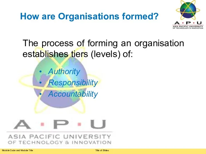 The process of forming an organisation establishes tiers (levels) of: