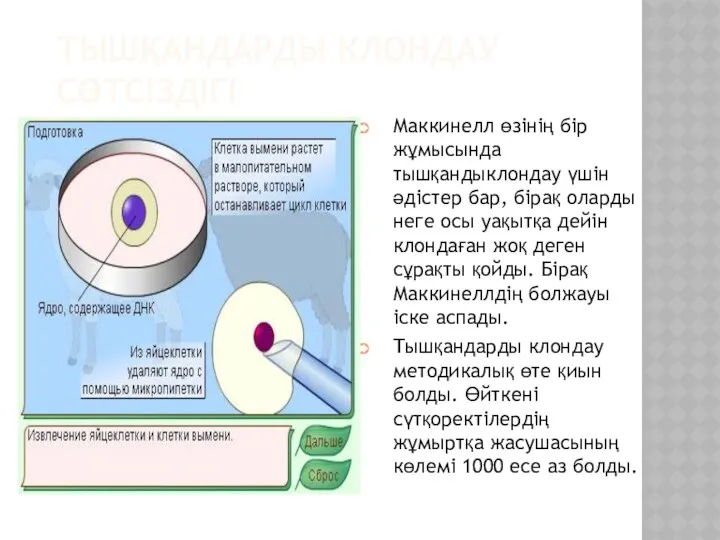 ТЫШҚАНДАРДЫ КЛОНДАУ СӘТСІЗДІГІ Маккинелл өзінің бір жұмысында тышқандыклондау үшін әдістер