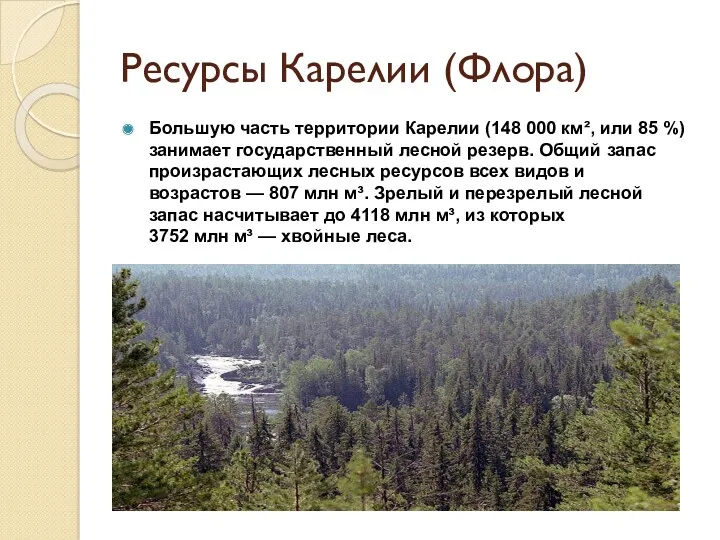 Ресурсы Карелии (Флора) Большую часть территории Карелии (148 000 км²,