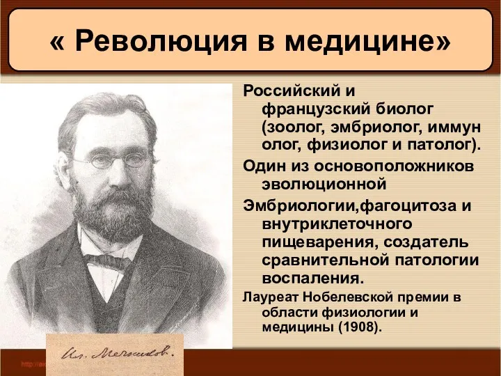 11/19/2022 Антоненкова А.В. МОУ Будинская ООШ Российский и французский биолог (зоолог, эмбриолог, иммунолог,