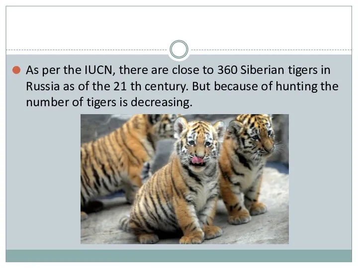 As per the IUCN, there are close to 360 Siberian