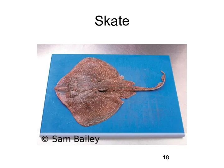 Skate