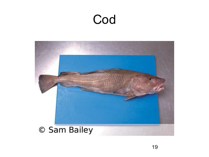 Cod