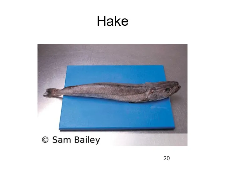 Hake