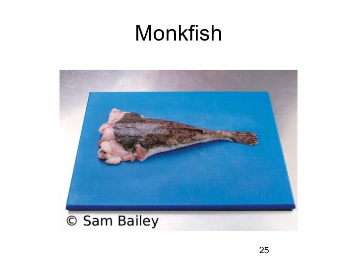 Monkfish