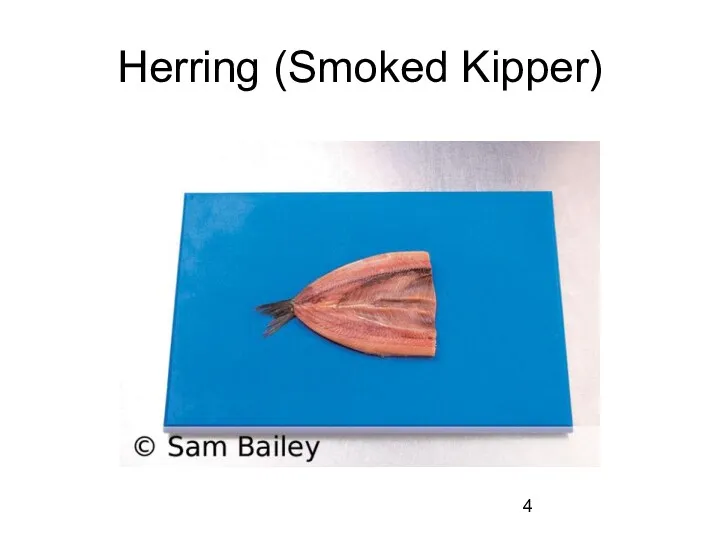 Herring (Smoked Kipper)