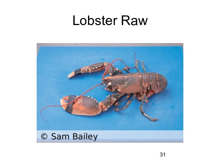 Lobster Raw