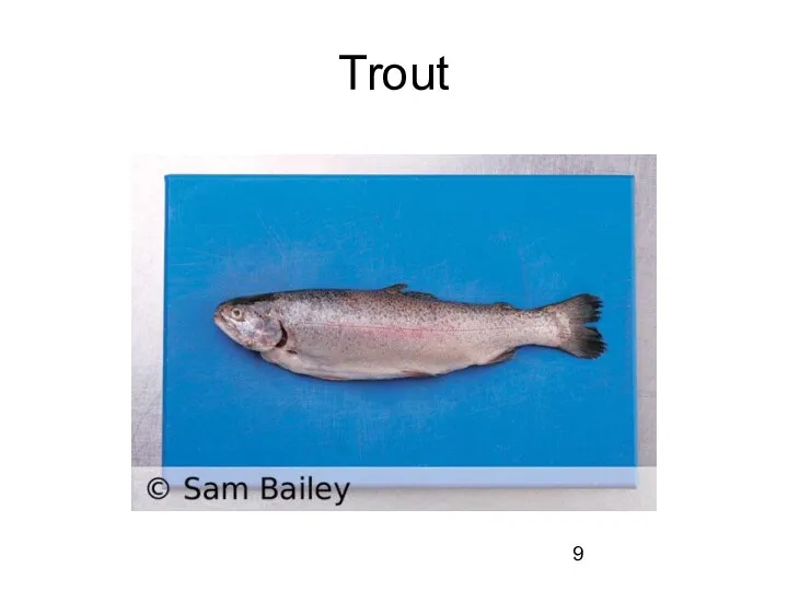 Trout