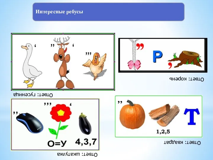 Интересные ребусы Ответ: гусеница Ответ: корень Ответ: шкатулка Ответ: квадрат