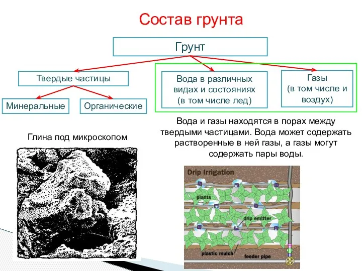 Вода и газы находятся в порах между твердыми частицами. Вода