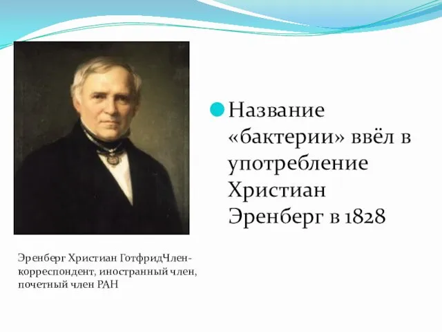 Название «бактерии» ввёл в употребление Христиан Эренберг в 1828 Эренберг